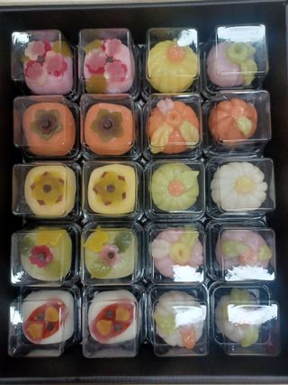 나빌레라님의 작목반,동호회 등 나의 모임은? · 참여글 작성글 사진