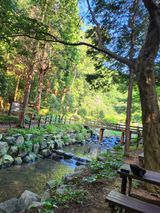 팜모닝 우리동네·동네자랑 게시글 이미지