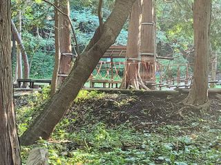 여수님의 우리동네 · 동네자랑 작성글 사진