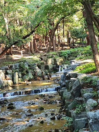여수님의 우리동네 · 동네자랑 작성글 사진