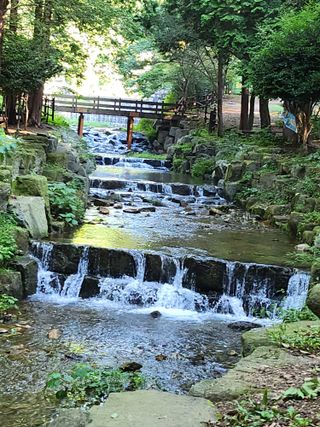 여수님의 우리동네 · 동네자랑 작성글 사진