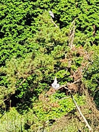 여수님의 우리동네 · 동네자랑 작성글 사진