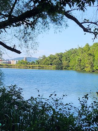 여수님의 우리동네 · 동네자랑 작성글 사진