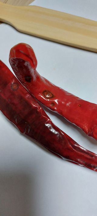 그린님의 고추 · 병해충상담 작성글 사진