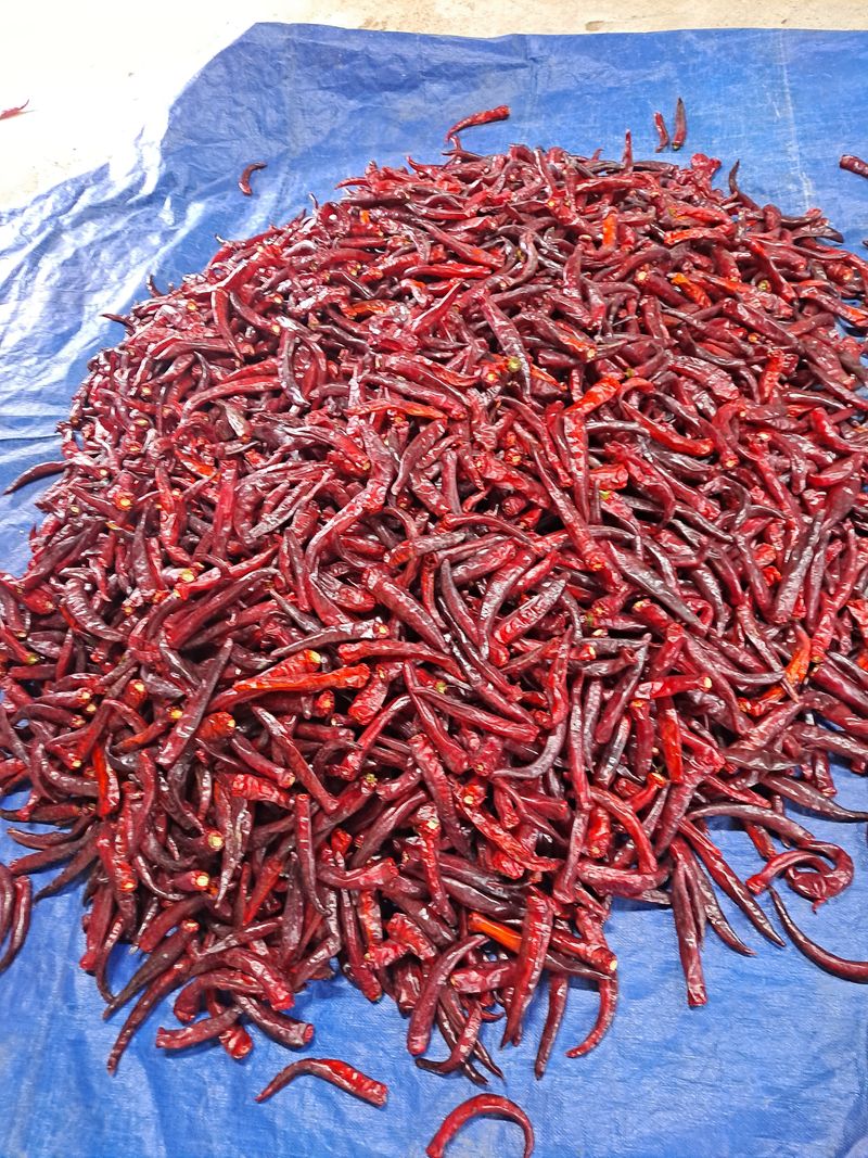 장터 상품 [금년 고추가루] 썸네일