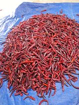 팜모닝 · 게시글 이미지