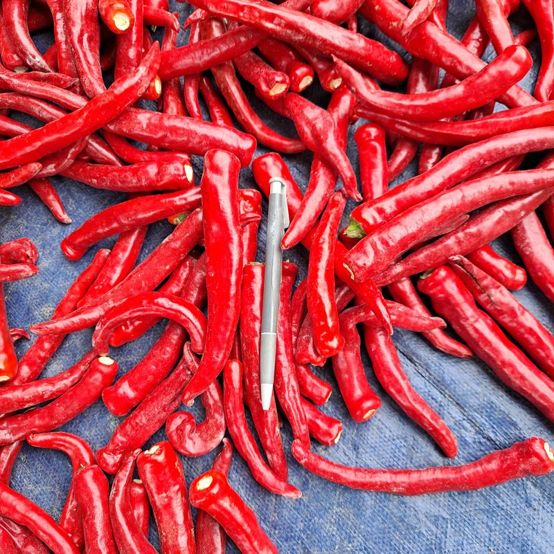 김성열 님의 장터 판매 상품 [금년 고추가루] 첨부 사진