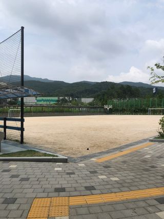 알 수 없음님의 양배추 · 자유게시판 작성글 사진