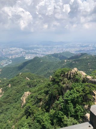 알 수 없음님의 양배추 · 자유게시판 작성글 사진