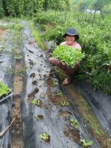 팜모닝 자유주제·자유게시판 게시글 이미지
