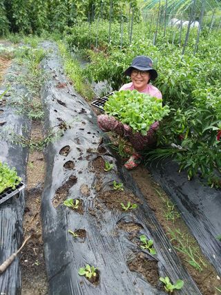 하동써니님의 자유주제 · 자유게시판 작성글 사진