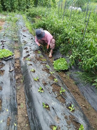 하동써니님의 자유주제 · 자유게시판 작성글 사진