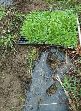 하동써니님의 자유주제 · 자유게시판 작성글 사진