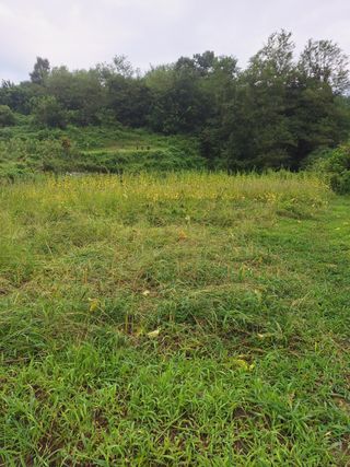 오영도님의 참깨 · 자유게시판 작성글 사진