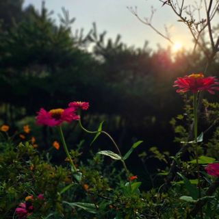 이형록님의 자유주제 · 자유게시판 작성글 사진