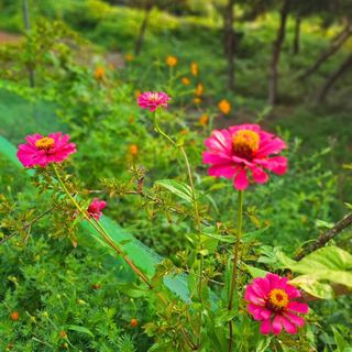 이형록님의 자유주제 · 자유게시판 작성글 사진