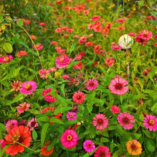 이형록님의 자유주제 · 자유게시판 작성글 사진
