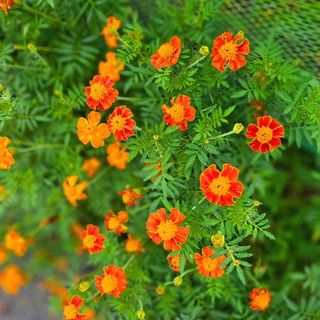 이형록님의 자유주제 · 자유게시판 작성글 사진