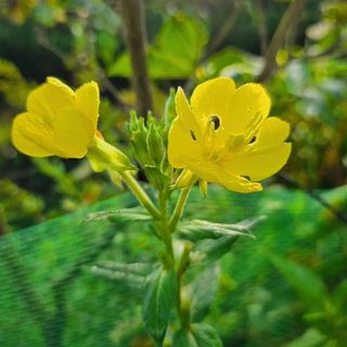 이형록님의 자유주제 · 자유게시판 작성글 사진