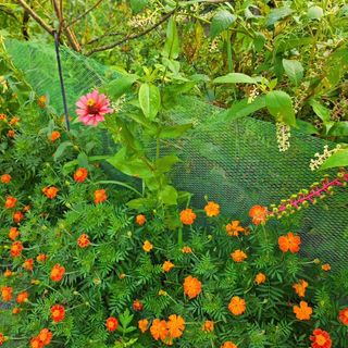 이형록님의 자유주제 · 자유게시판 작성글 사진