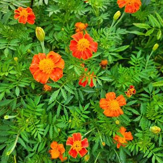 이형록님의 자유주제 · 자유게시판 작성글 사진