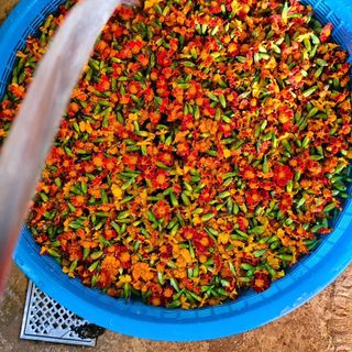 이형록님의 자유주제 · 자유게시판 작성글 사진