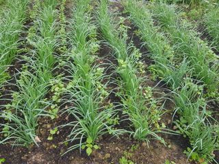 정석구님의 기타작물 · 자유게시판 작성글 사진