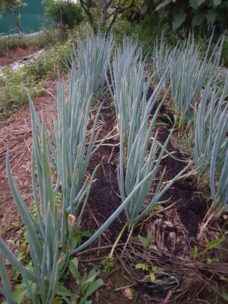 정석구님의 기타작물 · 자유게시판 작성글 사진