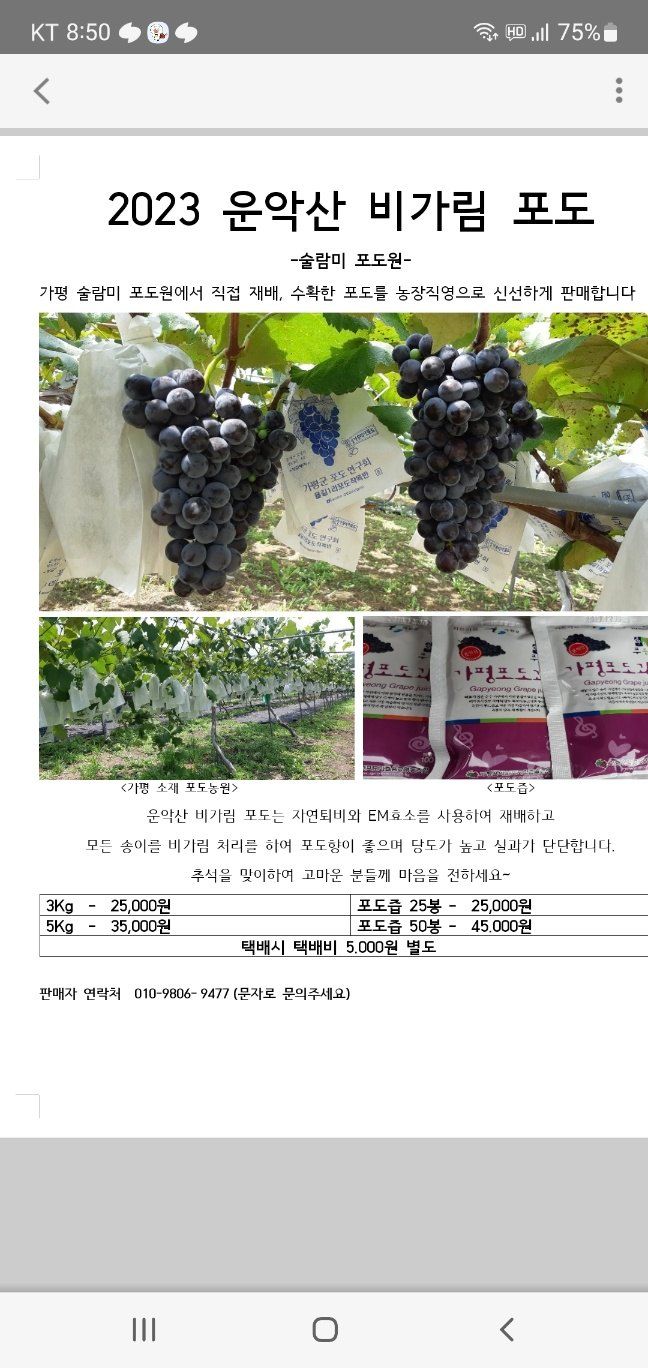 운악산포도님의 장터 판매 상품 [캠벨포도즙 50봉] 첨부 사진