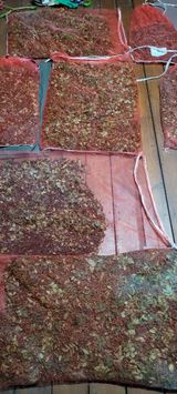 팜모닝 장터이야기·자유게시판 게시글 이미지