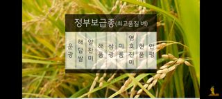 하얀찔레꽃님의 벼 · 자유게시판 작성글 사진