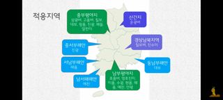 하얀찔레꽃님의 벼 · 자유게시판 작성글 사진