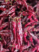 팜모닝 고추·시세•판로 게시글 이미지