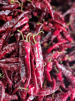 복덩이님의 고추 · 시세•판로 작성글 사진