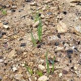 팜모닝 기타작물·자유게시판 게시글 이미지