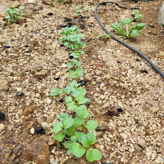 오정석님의 기타작물 · 자유게시판 작성글 사진