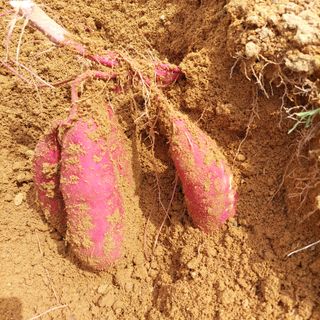 osm님의 우리동네 · 동네수다 작성글 사진