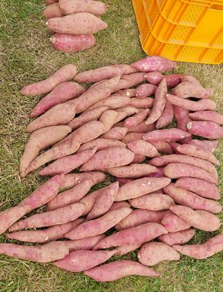 osm님의 우리동네 · 동네수다 작성글 사진