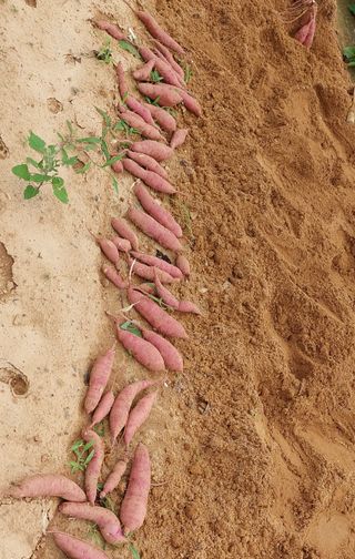 osm님의 우리동네 · 동네수다 작성글 사진