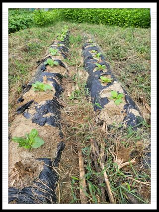이서울비님의 자유주제 · 자유게시판 작성글 사진