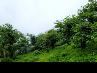 이양호님의 O학년 △반 이세요? · 참여글 작성글 사진