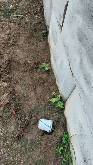 김충구내 집 예쁘게님의 자유주제 · 자유게시판 작성글 사진