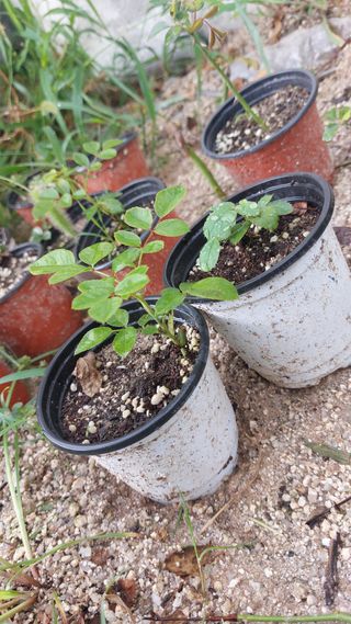 김충구내 집 예쁘게님의 자유주제 · 자유게시판 작성글 사진