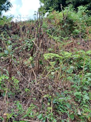 무료상담사 유근용님의 자유주제 · 자유게시판 작성글 사진