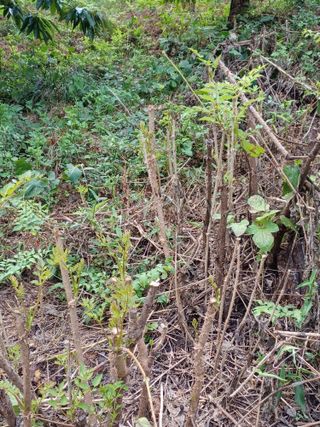 무료상담사 유근용님의 자유주제 · 자유게시판 작성글 사진