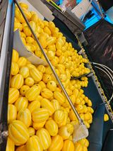 팜모닝 O학년 △반 이세요?·참여글 게시글 이미지