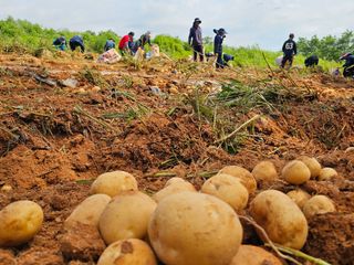 땅콩.감자.5734님의 O학년 △반 이세요? · 참여글 작성글 사진