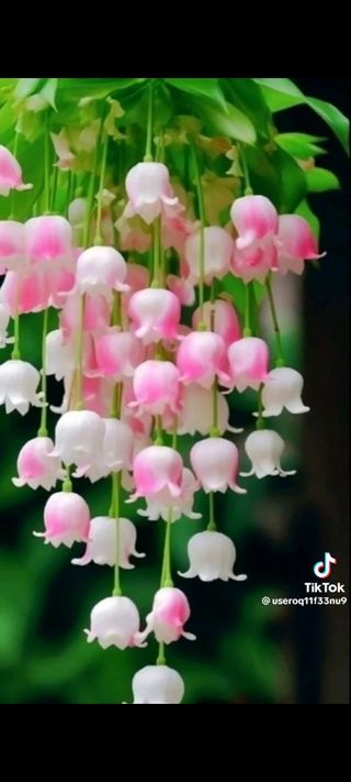 혁이네농원님의 O학년 △반 이세요? · 참여글 작성글 사진