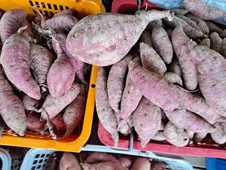 박손분님의 고구마 · 영농일지 작성글 사진