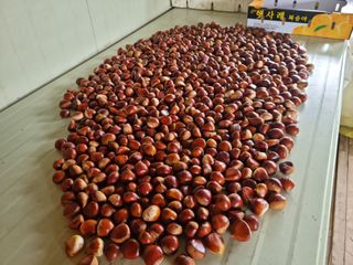 햇사레맨(이용삼)님의 O학년 △반 이세요? · 참여글 작성글 사진